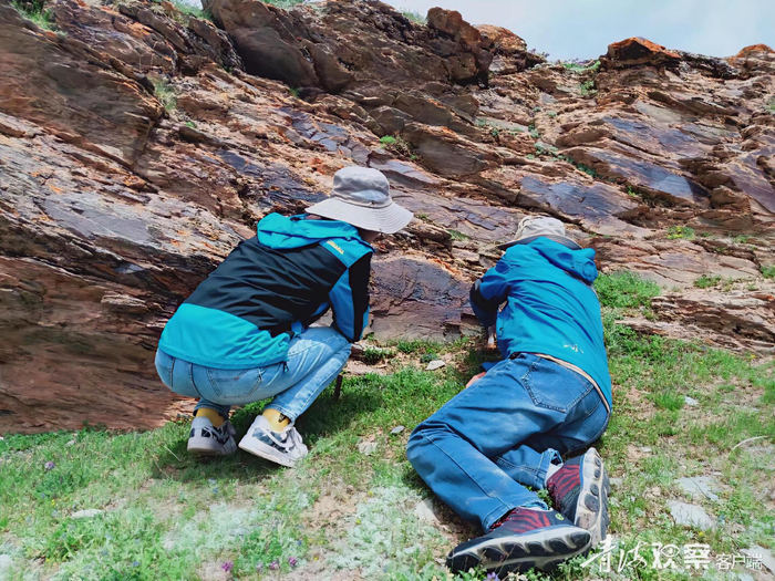 2020年7月5日青海师范大学科考队成员在现场观察石刻。 侯光良供图