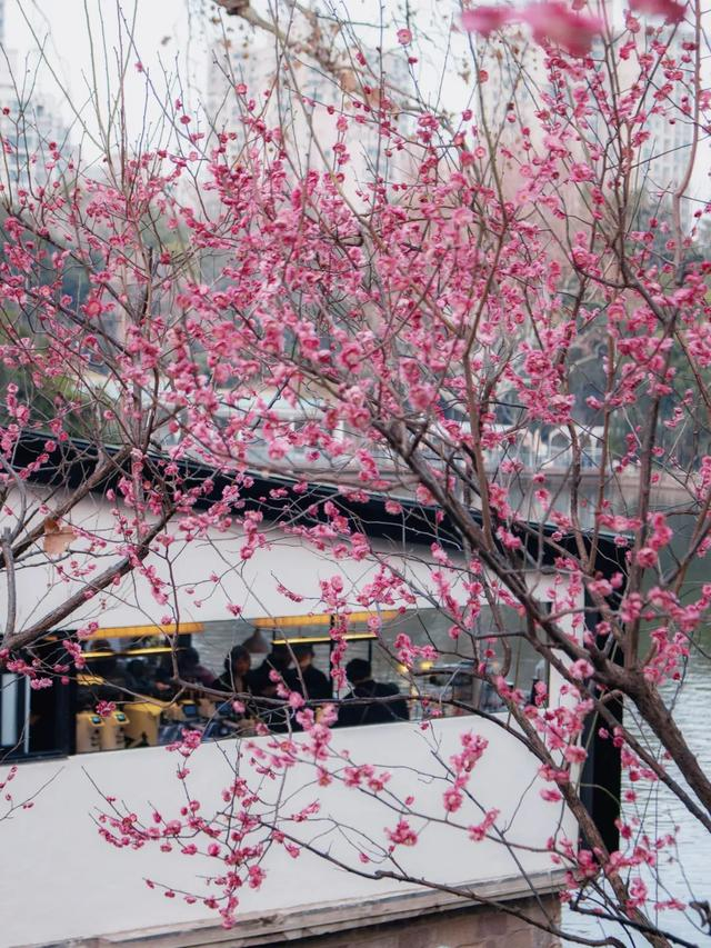 图源：小红书@Rionida