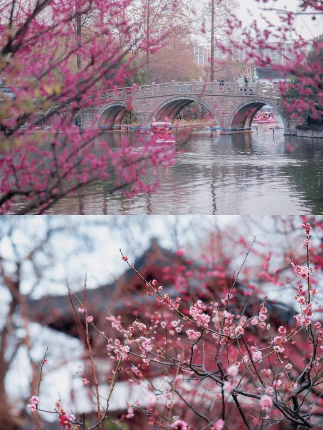 图源：小红书@Rionida