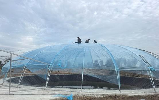 当地兴建的“蒙古包”鱼塘