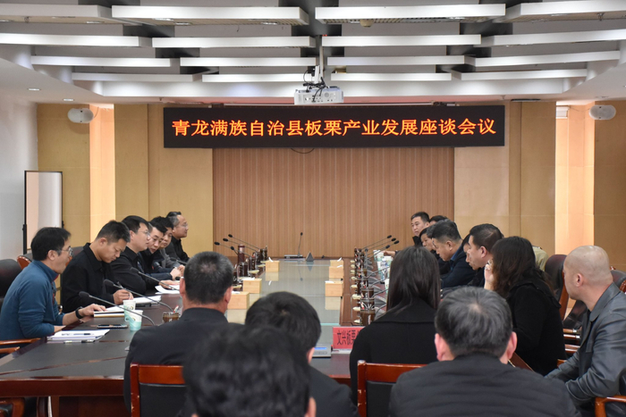 图为座谈会现场