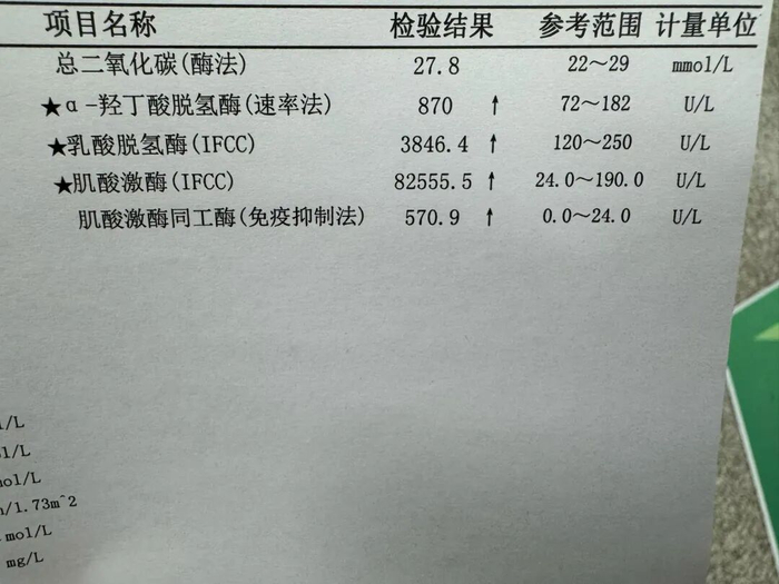 患者阳阳的检验结果。