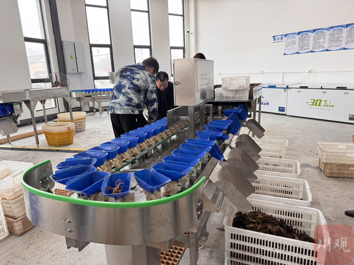 分拣设备。王迎 摄