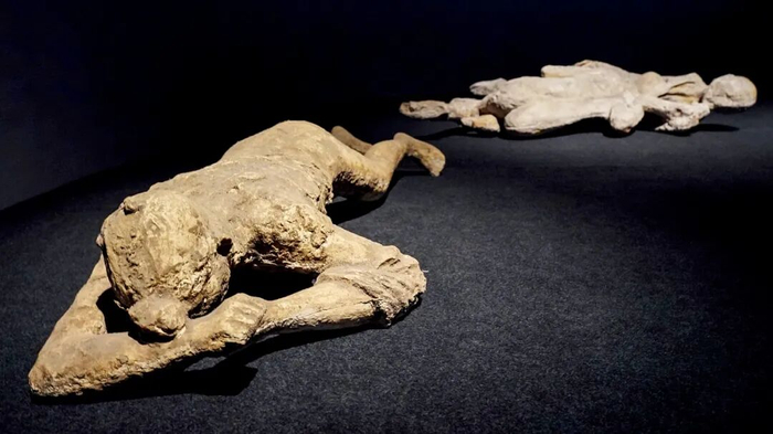 庞贝遇难者石膏铸像复制品  图/中国国家博物馆