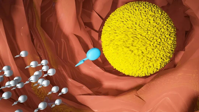图源：站酷海洛