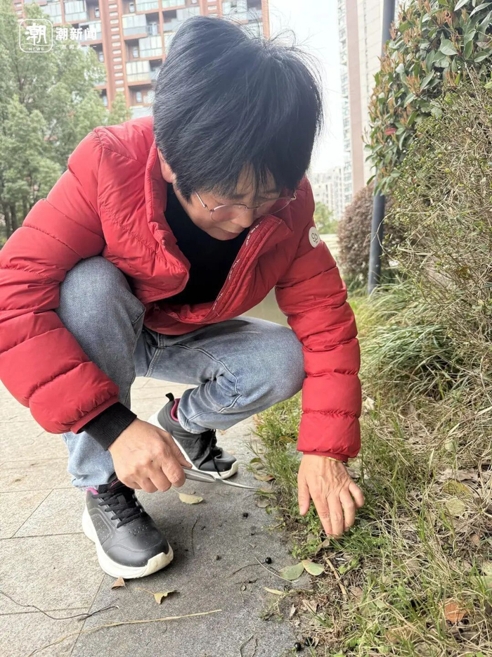 跟着陈老师一起挖野菜 记者 施雯 摄 