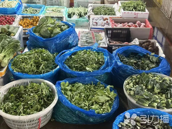 新鲜蔬菜供应充足。苏报融媒记者 李想/摄