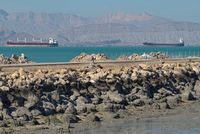 一艘货船在霍尔木兹海峡遭袭