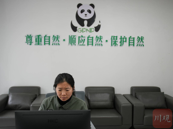 大熊猫国家公园荥经县管护总站工作人员张冬玲正在工作