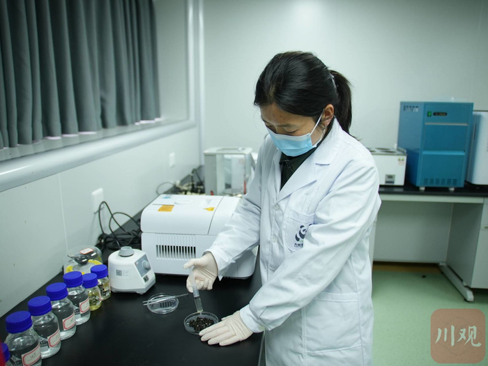 张冬玲正在进行实验