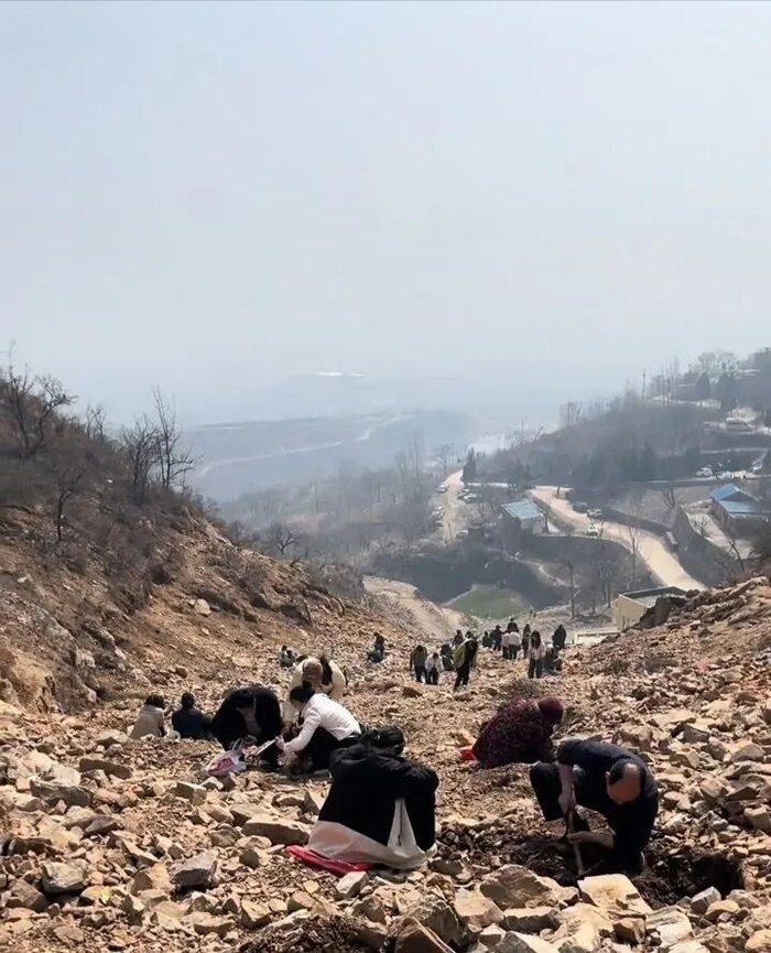 不少人在助泉寺村挖玉石（视频截图）