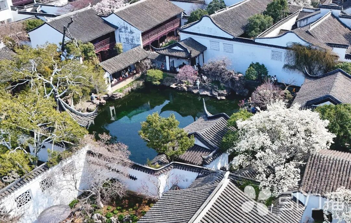 苏报融媒记者 王亭川/摄