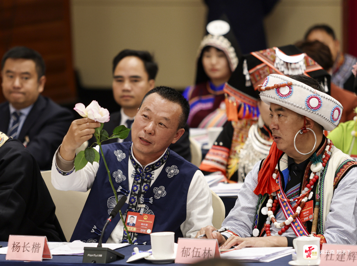 全国人大代表、云南省农科院热区生态农业研究所副研究员杨长楷把“宝华月季”带到全国两会。云南日报记者 陈飞 胡妤雅/摄