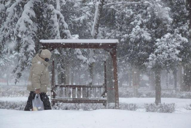 △3月11日，新疆塔城出现降雪。