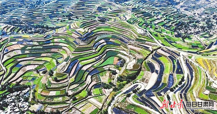 壮美的陇南连片梯田。陇南市委宣传部供图