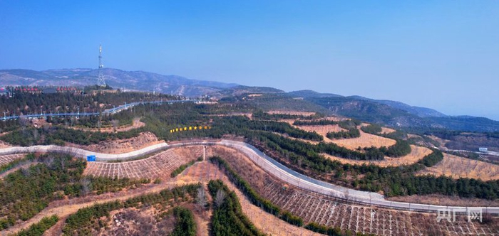 满坡树木正绿意萌发（央广网发  李浩瑜摄）