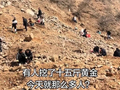 河南新密“山坡免费挖玉”爆火，有人挖到15斤黄金？当地：早年有玉石矿，但地表只有遗留的矿渣，“有黄金”是假消息
