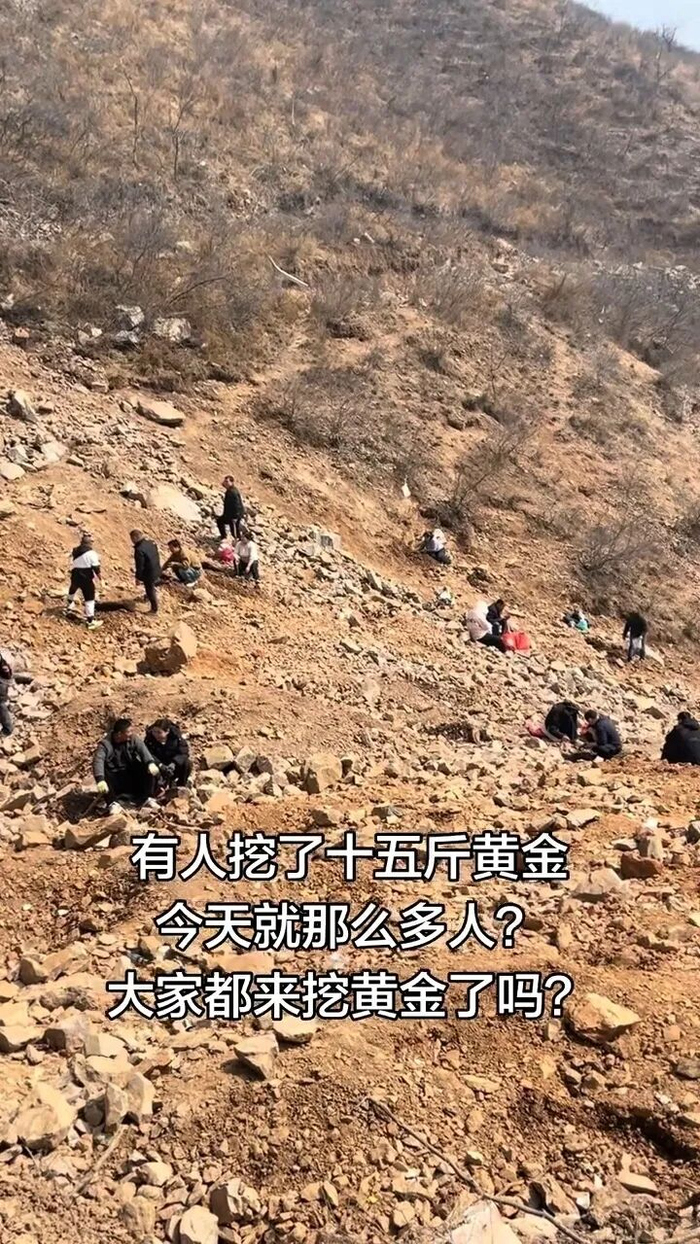 有网友称有人在新密助泉寺村挖到了黄金（视频截图）