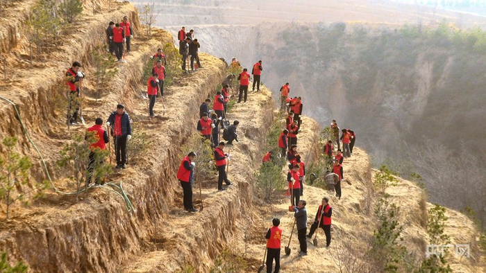 山西四建集团有限公司房地产开发分公司组织职工在北山植树造林  （央广网发  李浩瑜摄）