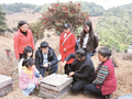 89名志愿者认养蜜蜂93箱 大理巍山合作村蜜蜂认养模式“蜂”生水起