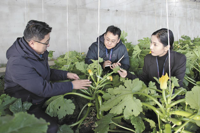 格尔木市纪委监委纪检监察干部前往格尔木市郭勒木德镇仁达合作社进行监督检查，切实解决群众身边急难愁盼。