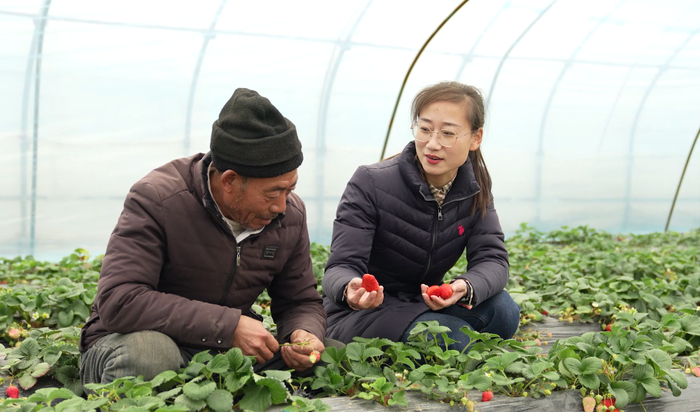全国人大代表、小荡村党总支书记、村委会主任徐瑶。连云港日报供图