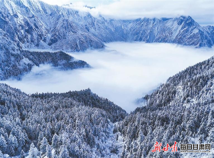 冬日的官鹅沟冰雪秘境。官鹅沟景区供图