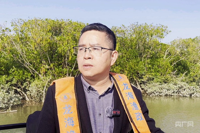 兰国华正在红树林保护区巡护（央广网记者  龚雯  摄）