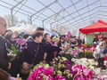兰州春季花卉展销会 市民逛展选购忙