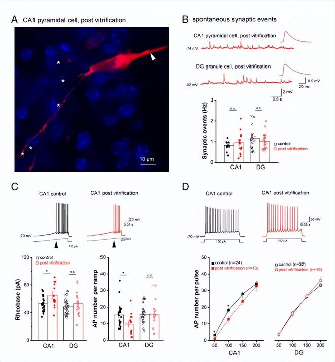 （来源：PNAS）