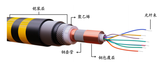 ▲海底光缆组件示意图，图源：CSIS