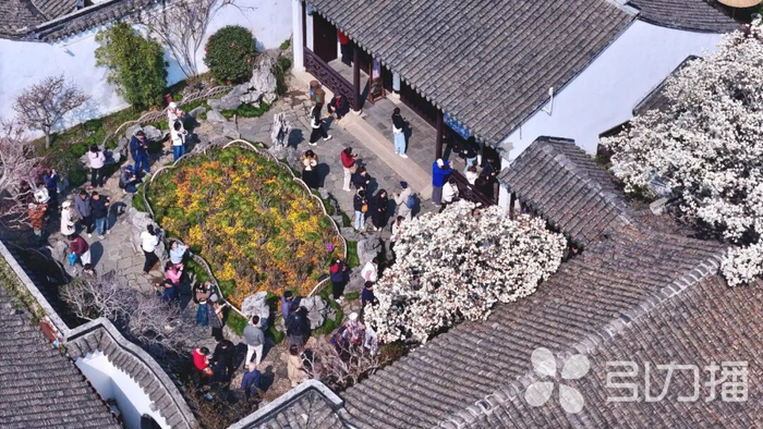 苏报融媒记者 王亭川/摄