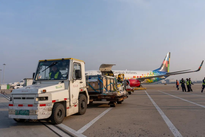 工作人员将海豚转运至货站