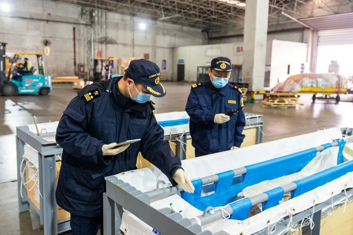 现场关员对入境瓶鼻海豚开展现场检疫查验