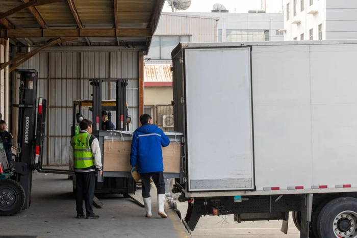 在天津滨海机场货站，工作人员操作叉车将载有海豚的专用运输水箱平稳转运至专用运输车辆