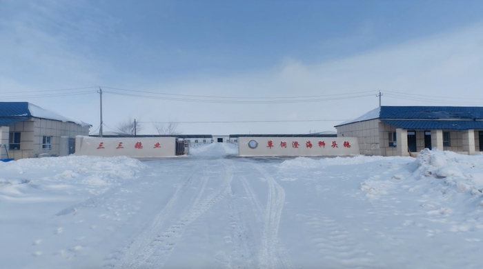 白杨市三三鹅业有限公司。曹怀语 提供