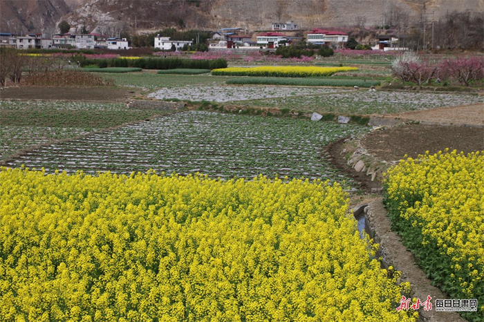 责任编辑：李婧