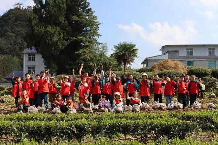 湖北省恩施州鹤峰县容美镇白鹤井社区开展挖红薯农耕体验活动。新华社发