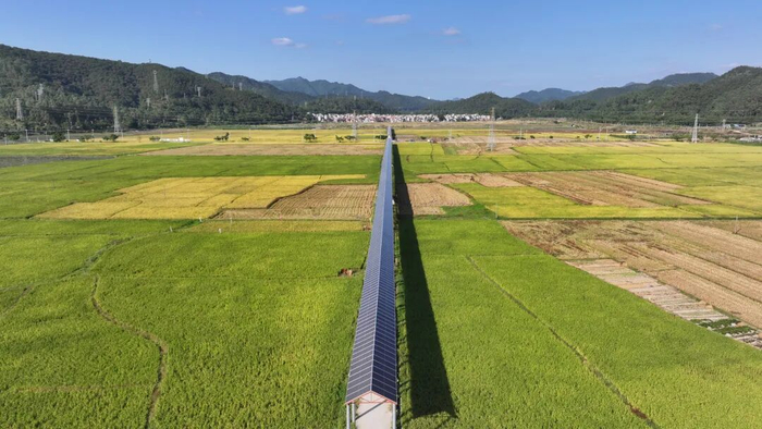△禄步镇绿美光伏走廊。肇庆市融媒体中心记者 吴勇强 摄