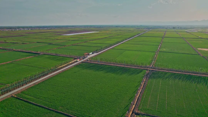 临河区高标准农田建设。杨永旺 摄