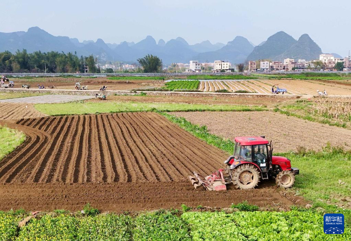 广西农民驾驶农机翻耕田地，准备种植玉米。图源：新华社