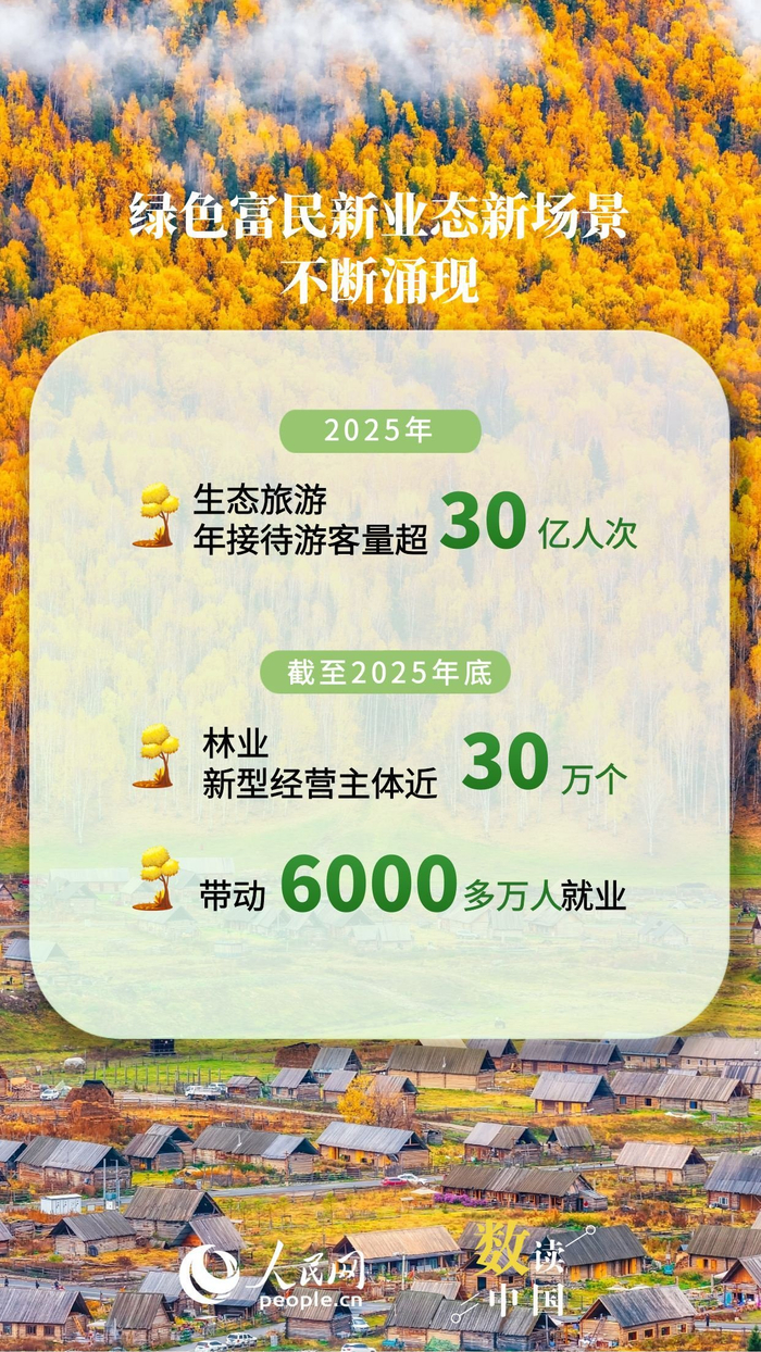 资料来源：人民日报、《2025年中国国土绿化状况公报》