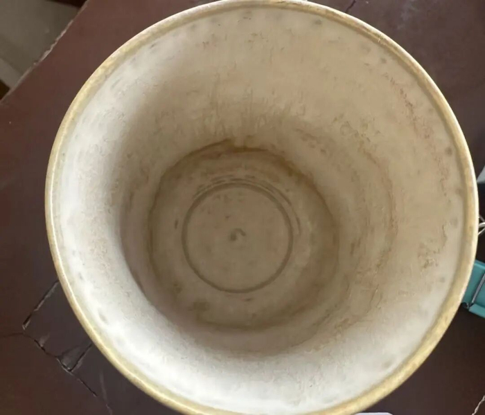 图片来源自网络