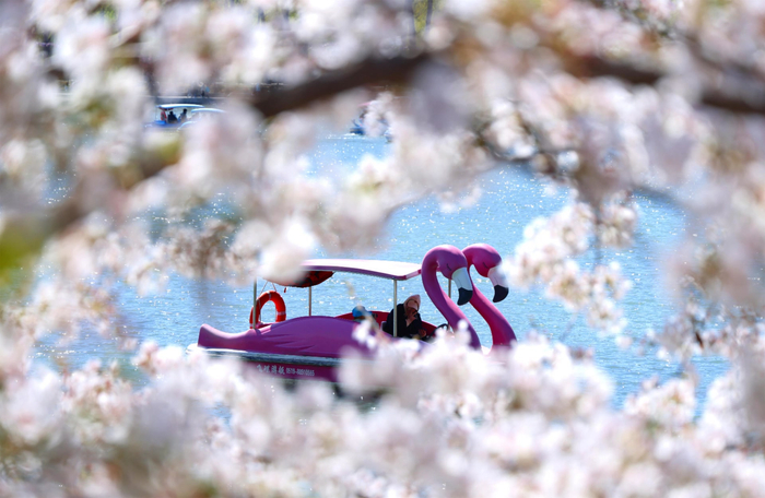 玉渊潭公园（资料图）