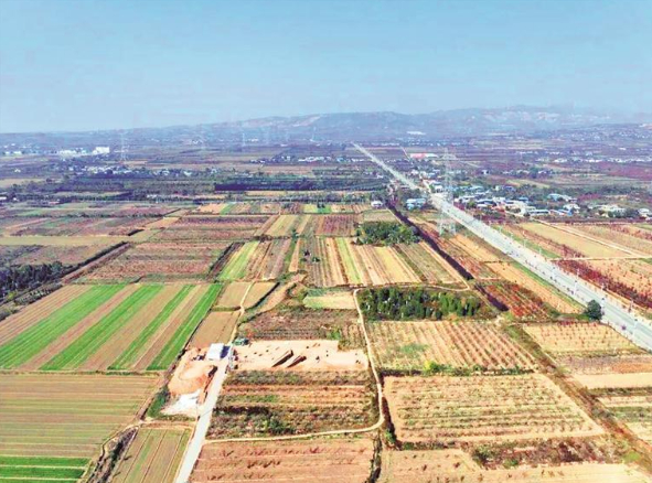 陕西富平长春遗址白家墓地发掘区地貌。
