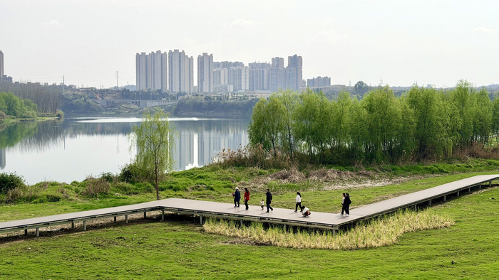 改造后的沱江滩涂湿地