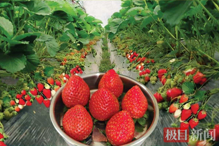 受访者供图