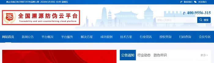 部分仿冒网站截图。（受访者供图） 