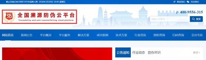 部分仿冒网站截图。（受访者供图）