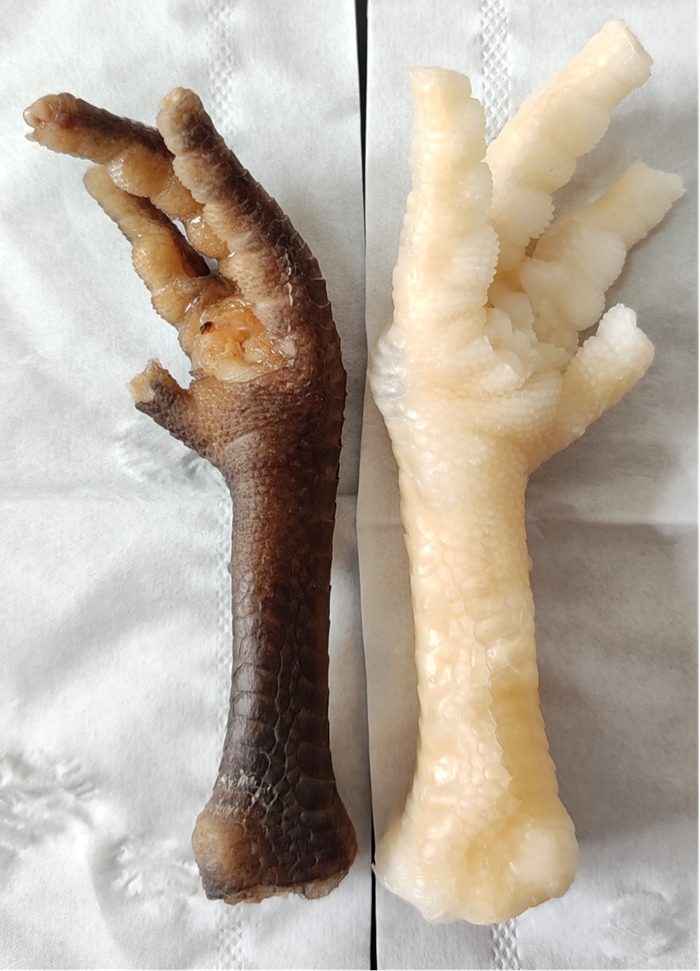 处理前后鸡爪对比（左图为处理前，右图为处理后）/时代周报记者摄